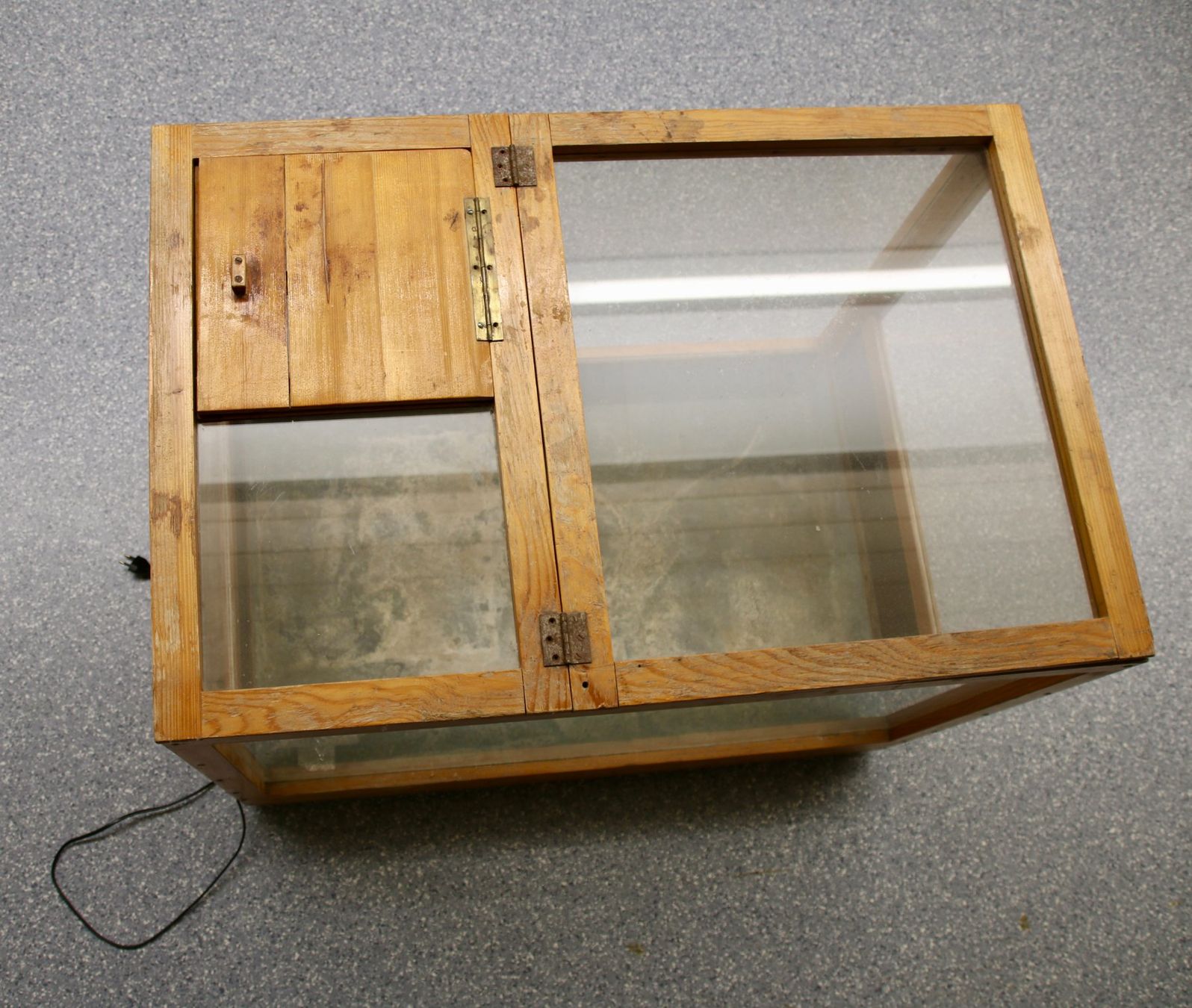 Terrarium: Terrarium – Gebraucht aus Sulgen von Harfe73 7