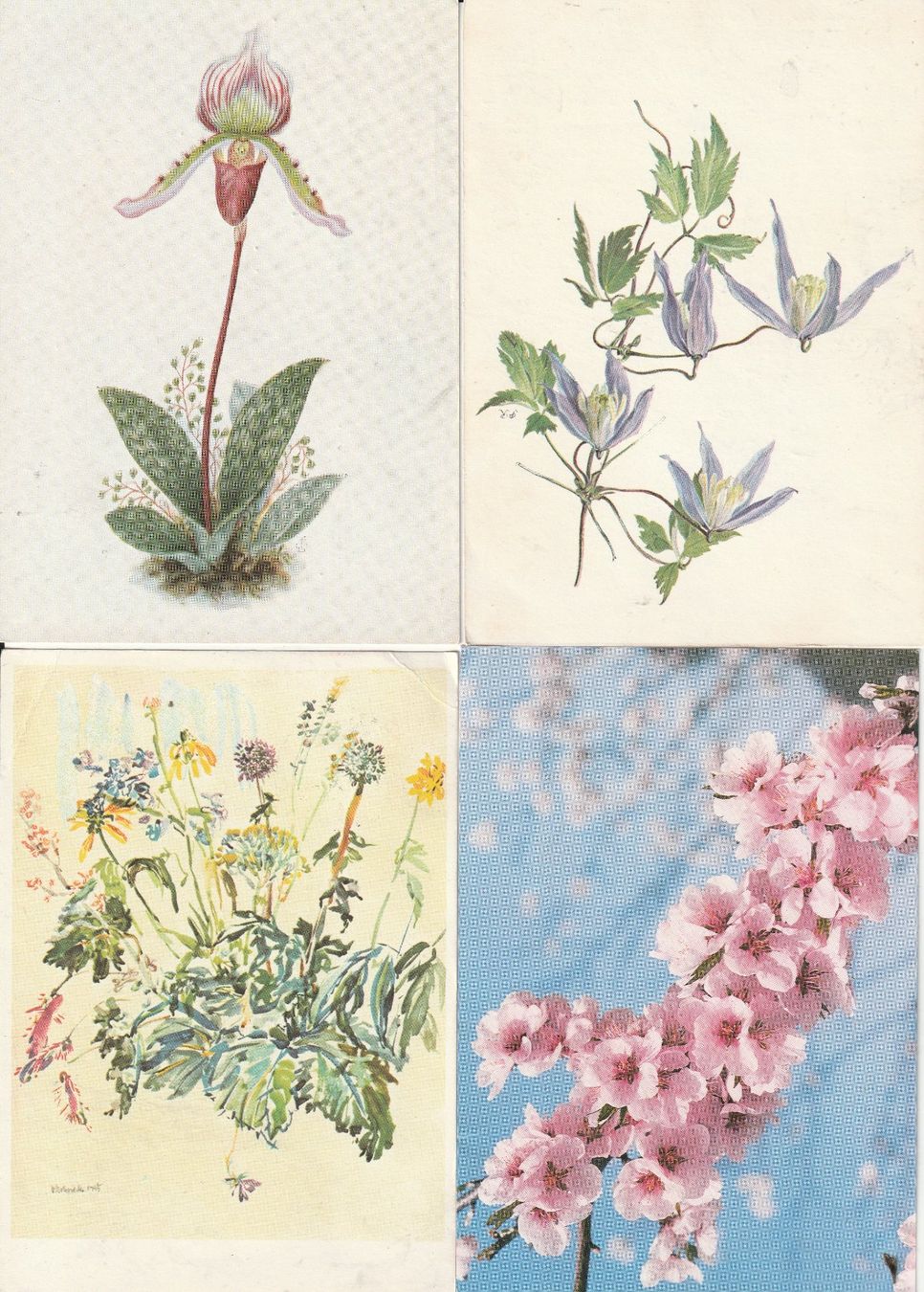 Cartoline postali: 40 Blummenkarten – Usato da Lumbrein venduto da made02 7