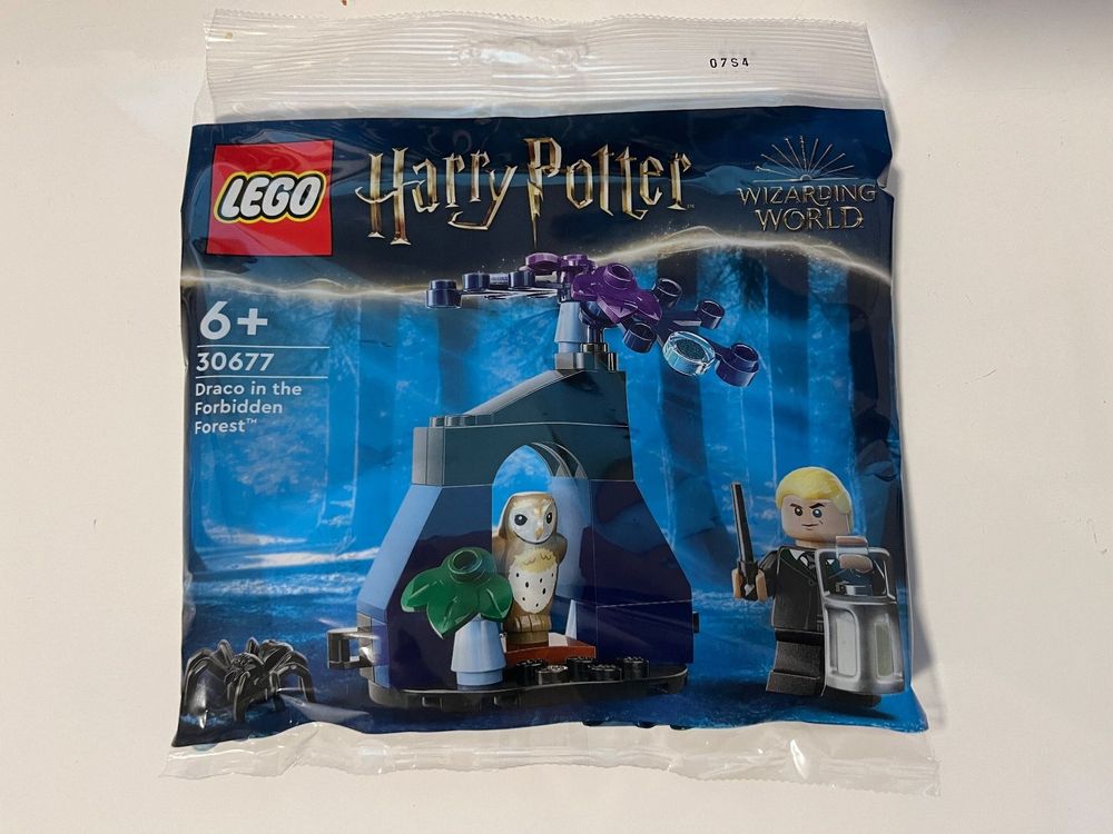 LEGO 30677 Draco In The Forbidden Forest (Polybag) main image 1