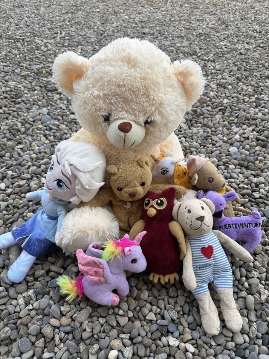 Spielzeuge: 9 Kuscheltiere – Gebraucht aus Liestal von OnyxGT