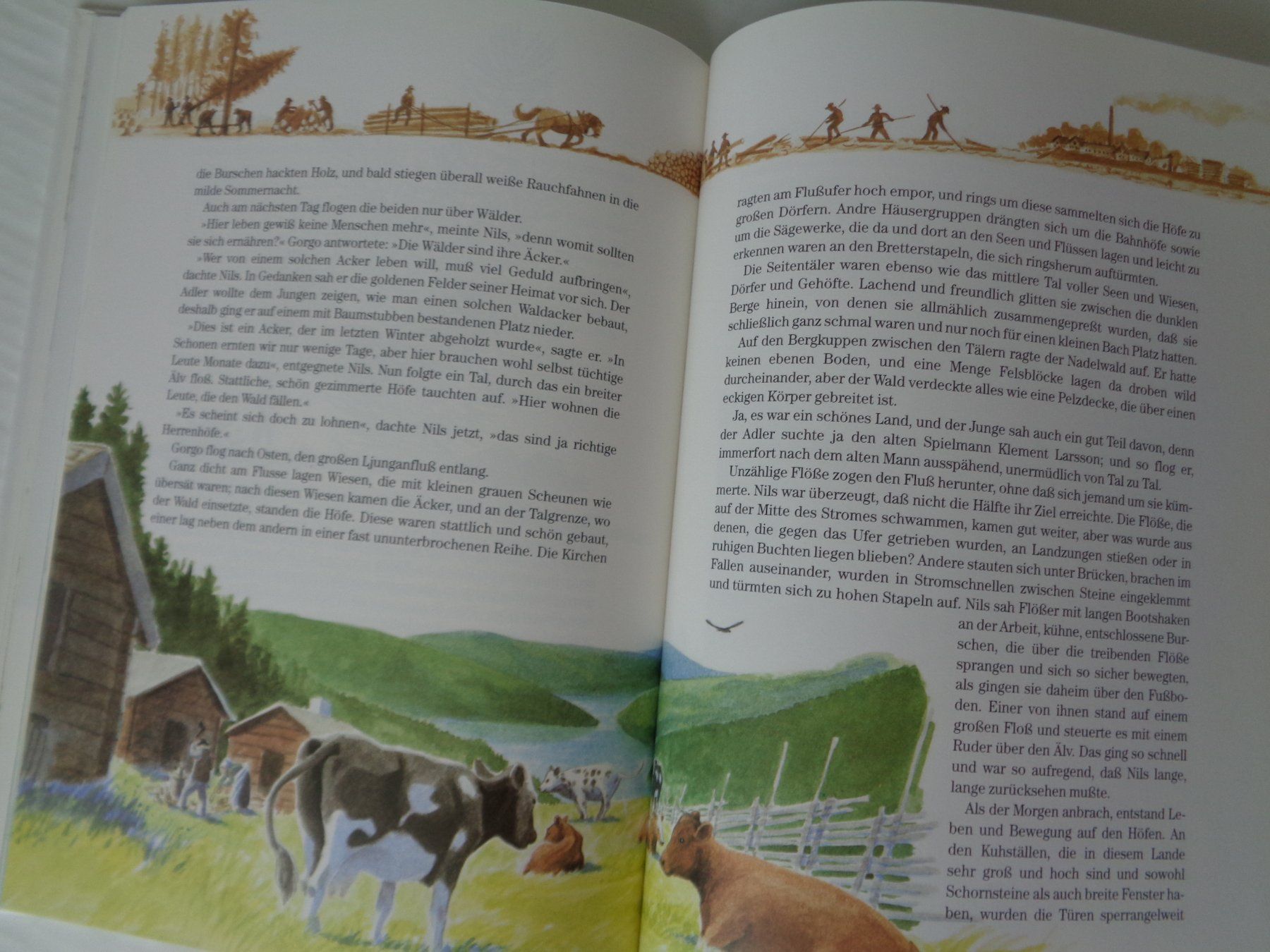 Libri: Nils Holgerssons wunderbare Reise - Schweden 1989 – Usato da Chur venduto da Oregano1 3