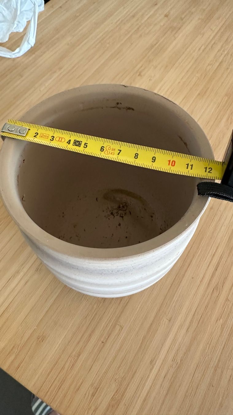 Vasi per fiori: Blumen Übertopf 12cm Durchmesser altrosa – Nuovo (secondo la descrizione) da Schönenwerd venduto da rom_5wfy 1