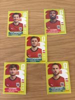 Panini