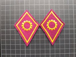 Kragenspiegel Mechaniker Set