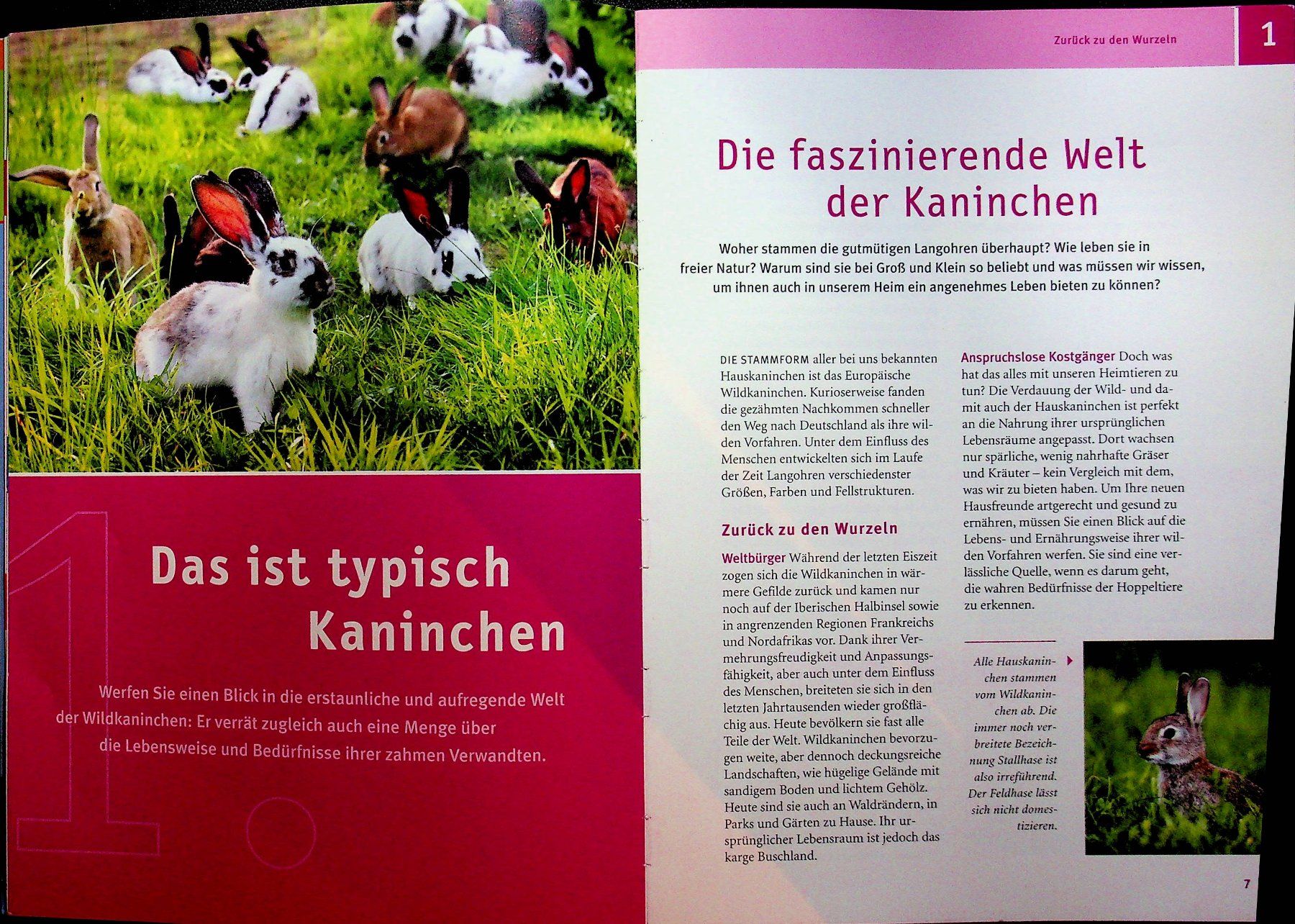 Bücher: Mein Kaninchen / Esther Schmid – Gebraucht aus Reitnau von Zaomir 6