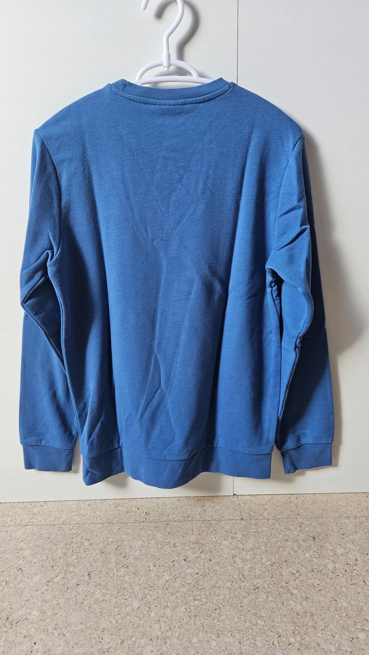 Champion Maglioni & Felpe: Pullover – Usato da Münchenbuchsee venduto da Yothu 1