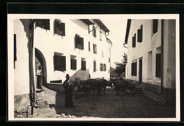 Cartoline postali: AK Bevers, Viehtrieb im Ort – Usato da Berlin venduto da bartko-reher