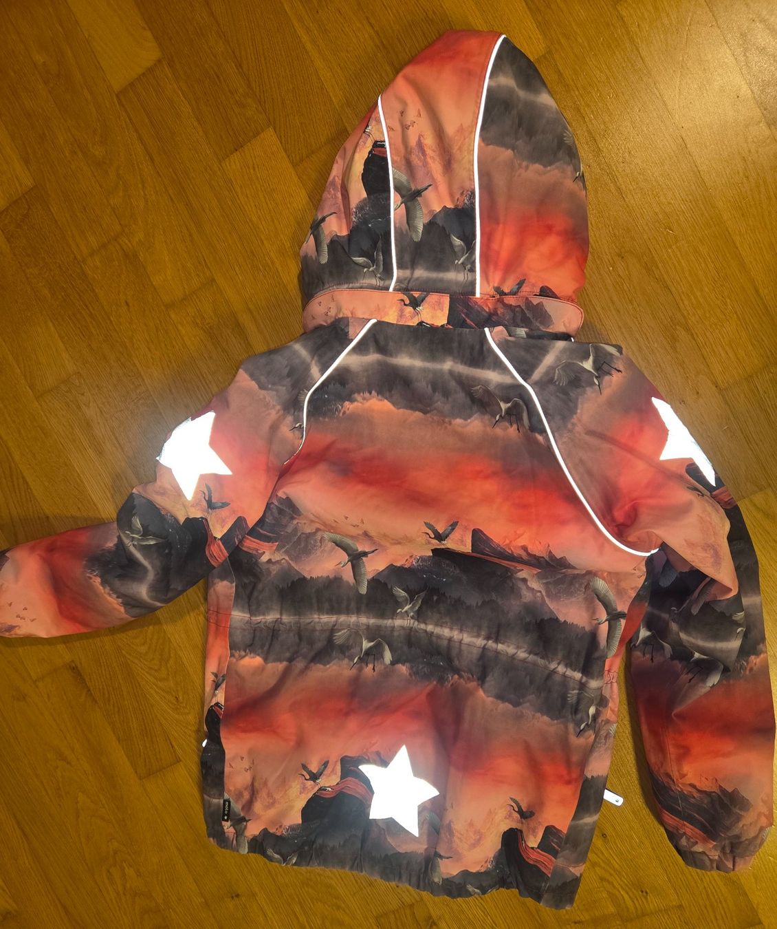 Molo Giacche & Cappotti: Molo Jacke 152 – Usato da Sursee venduto da Ventiduese 4