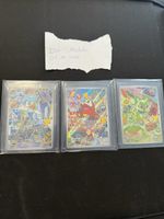 Pokemon Karten Set
