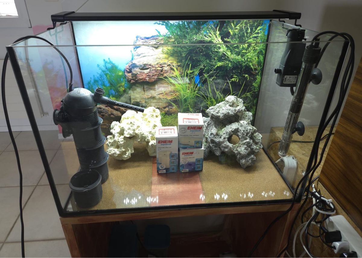 Acquari: Top Aquarium für Beginner – Usato da Bülach venduto da Against_Child_Abuse