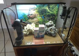 Top Aquarium für Beginner