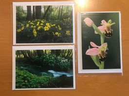 3x Grusskarten Naturama Blumen Pflanzen