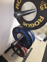 Hantelscheiben ROGUE Competition Bumper Plates 25-20-15kg
