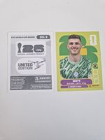 Panini Sticker BRA3