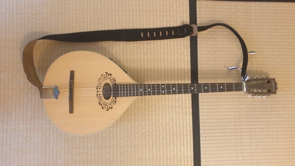 Irish Bouzouki / Dulcimer / Mandola Kaufen auf Ricardo