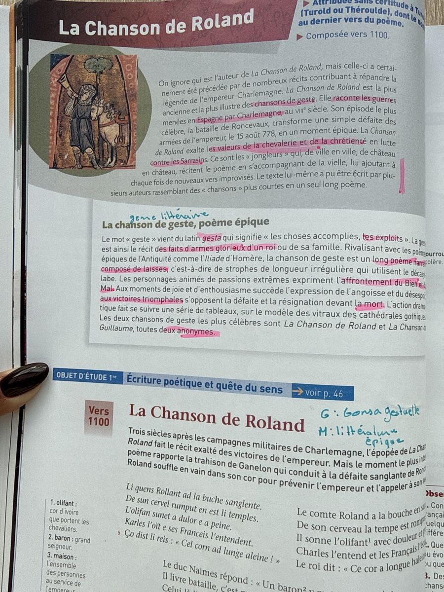 Libri: Français Littérature Classes Lycées - Manuel scolaire – Usato da Granges VS venduto da Anila.r 1