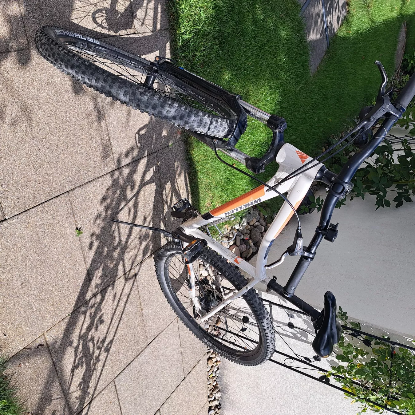 Wheeler Biciclette: Velo – Usato da Unterentfelden venduto da Miro-Lou 6