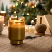 Partylite iced snowberries