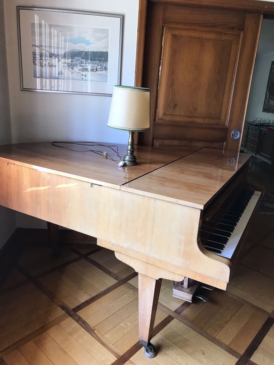 Strumenti musicali: Lipatti Flügel, braun – Usato da Solothurn venduto da Bobesch08 1