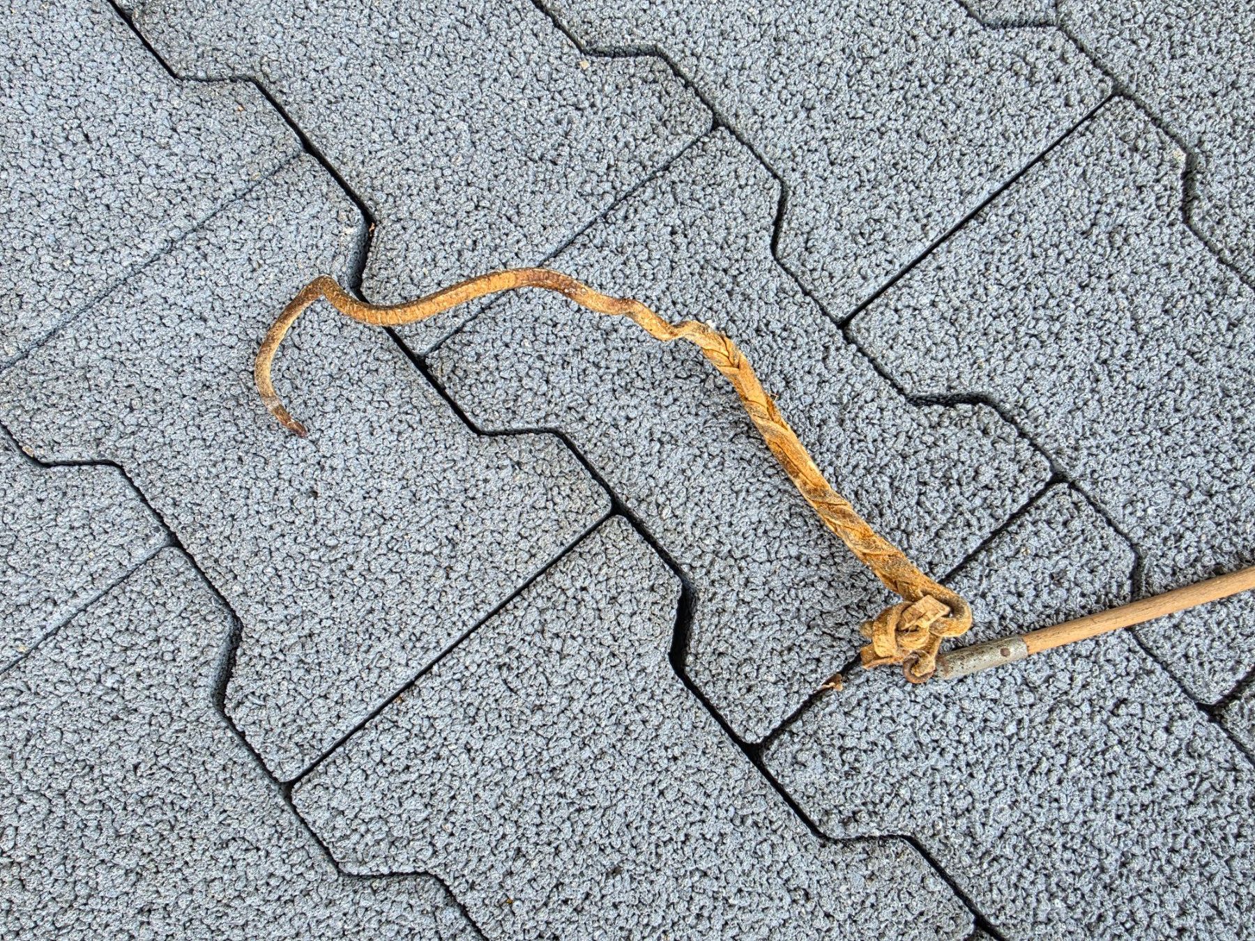 Altro in Accessori per animali: 2 Geisseln Peitschen 140 cm Holz / Leder – Usato da Walterswil BE venduto da Lonitti 2
