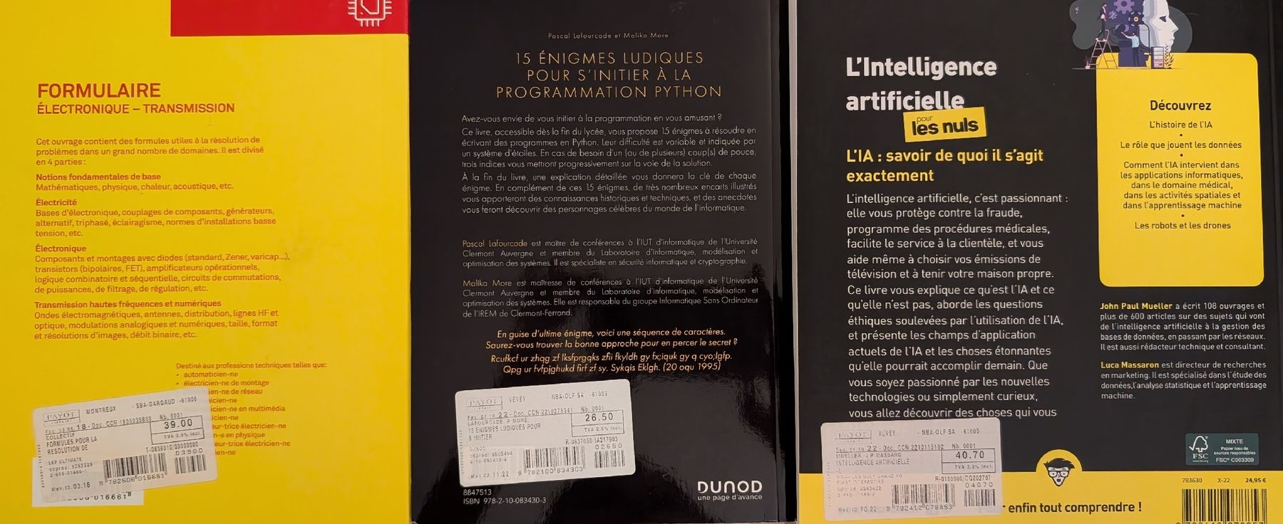 Bücher: Lot de 3 livres: IA - Programmation Python - Électronique – Neu (gemäss Beschreibung) aus Montreux von mad_z9lj 1