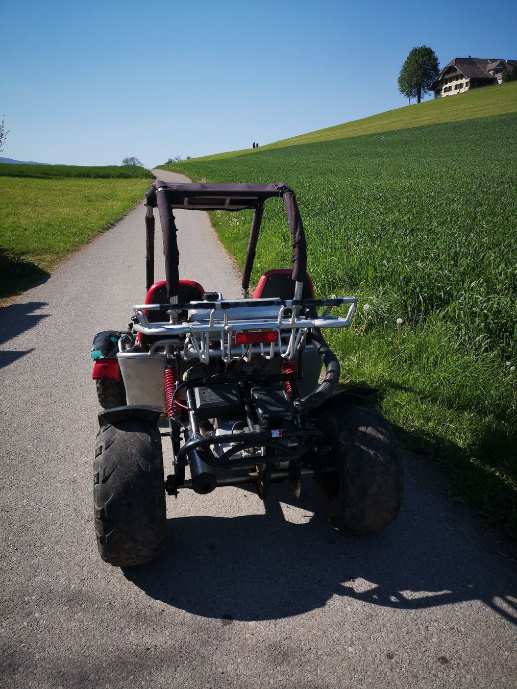 Altro: Hammerhead Biggies, 150 ccm – Usato da Höfen b. Thun venduto da ham_llv8 2