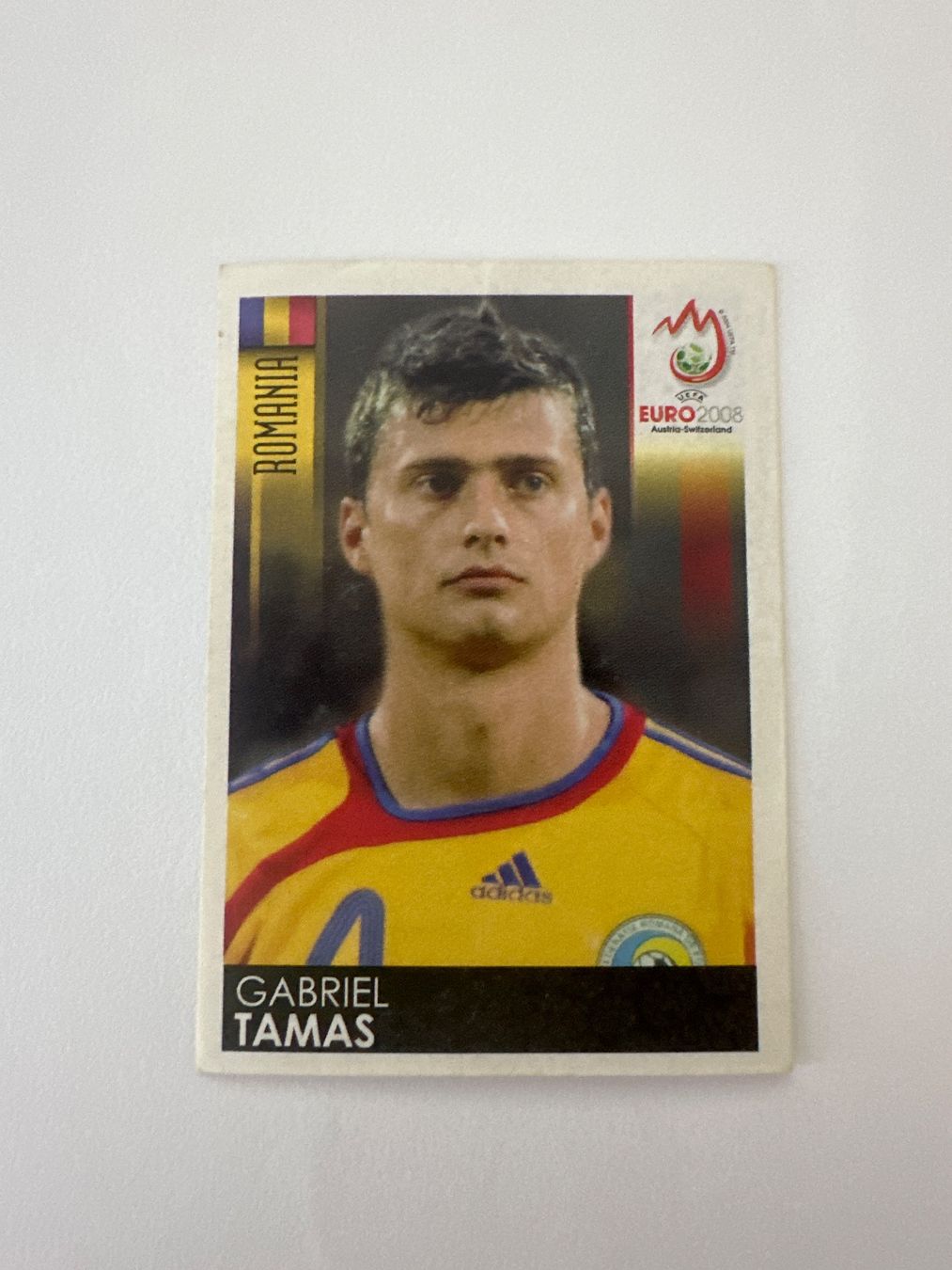 Panini Carte collezionabili: Panini UEFA EM 2008 Sticker - Nr. 318 – Usato da Sulz AG venduto da DealWerk