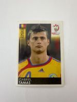 Panini UEFA EM 2008 Sticker - Nr. 318