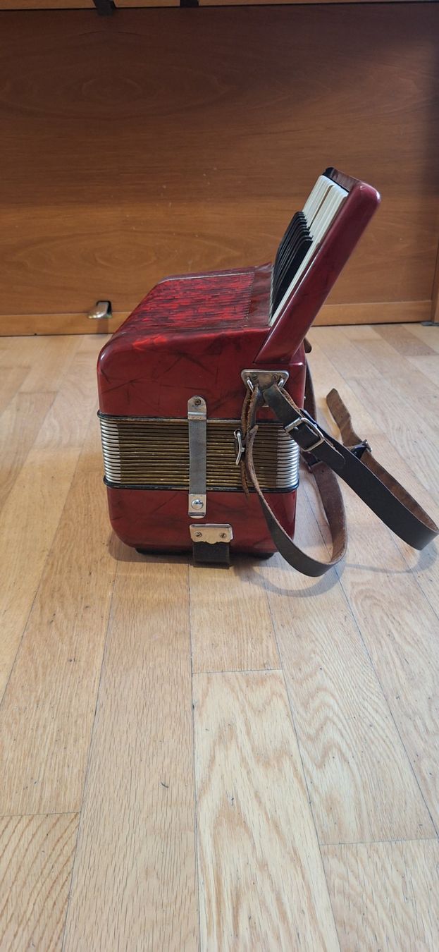 Hohner Musikinstrumente: Akkordeon – Gebraucht aus Dietikon von ene_yc8n 1