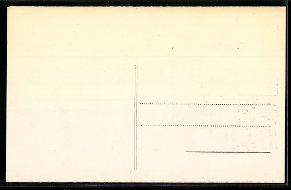 Cartoline postali: sign. Salvis: Schweiz, Mann benutzt das  – Usato da Berlin venduto da bartko-reher 1
