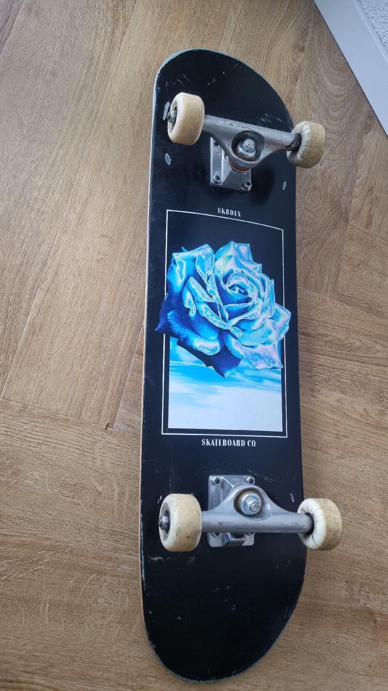 Skateboards: Skateboard – Gebraucht aus Reinach AG von b_s_bwb9