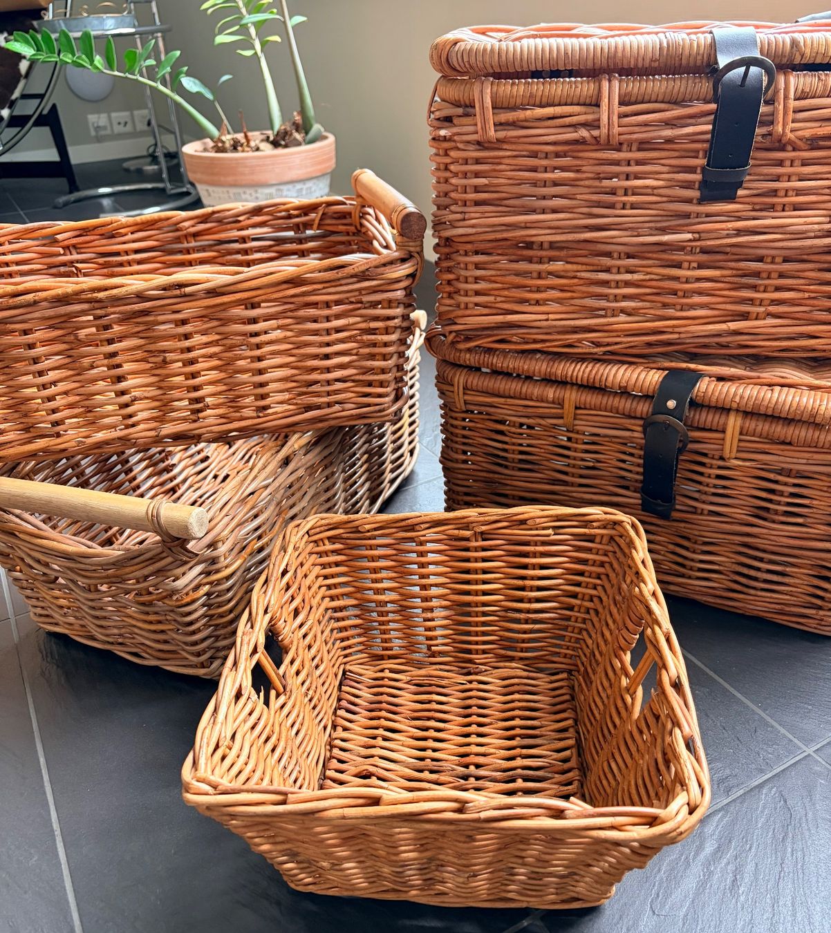 Altro per la casa: Körbe 5er Set GRATIS – Usato da Küsnacht ZH venduto da Dasdoo