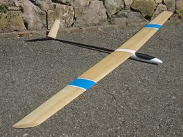 Art-Hobby 2.5 m Segler, RC Segelflugzeug