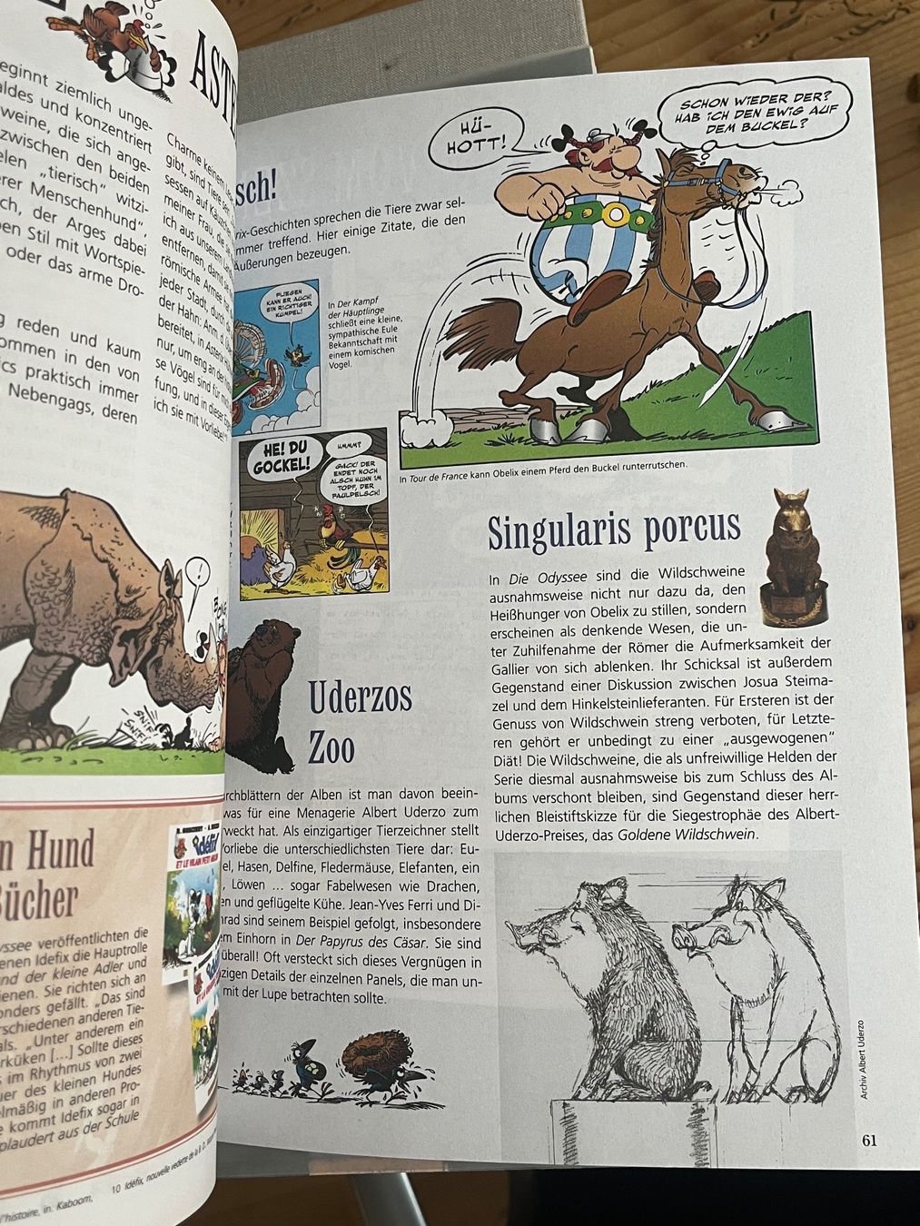Fumetti: Asterix Die Odyssee Limitierte Sonderausgabe – Usato da Basel venduto da morser58 5