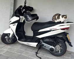 Roller Aprilia SXR50 neuwertig, mit Garantie
