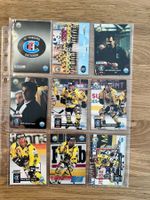 Eishockey Sammelkarten HC Fribourg Gotteron, Saison 1995/96
