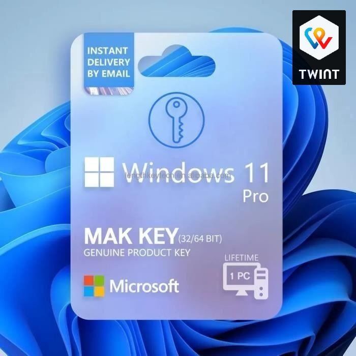 Microsoft Software: Windows 11 Pro Professionnel  Activation Garantie – Usato da Saignelégier venduto da onekeystore