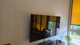 LG 65NAN0769QA Fernseher Smart TV 65 Zoll guter Zustand