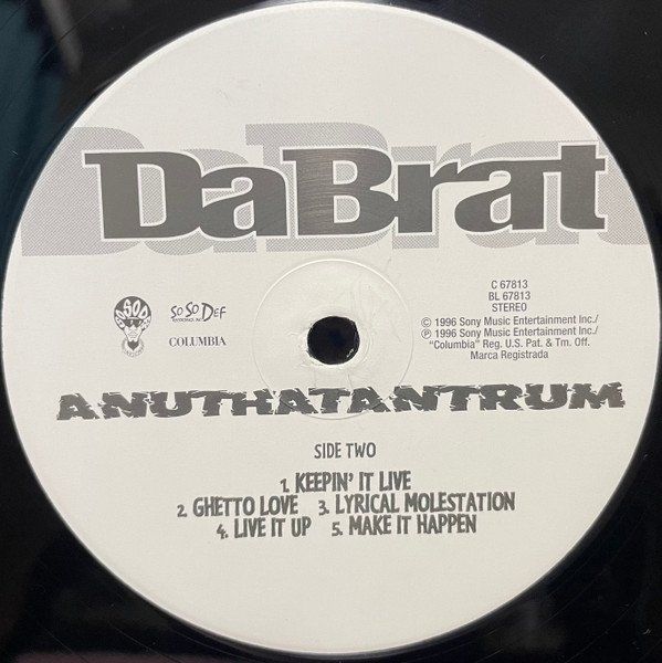 Dischi in vinile: Da Brat ‎– Anuthatantrum (LP) – Usato da Genève venduto da yoww123 3