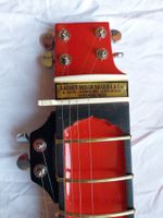 Sitar Reisesitar Travelsitar mit Fiberkoffer indische Musik