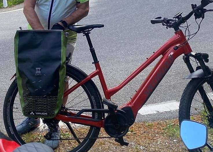 Velos: eBike – Gebraucht aus Bellinzona von Moetzi1 4
