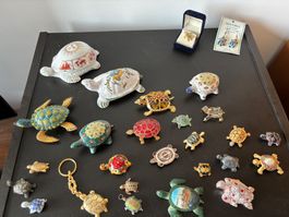 Collection de tortues