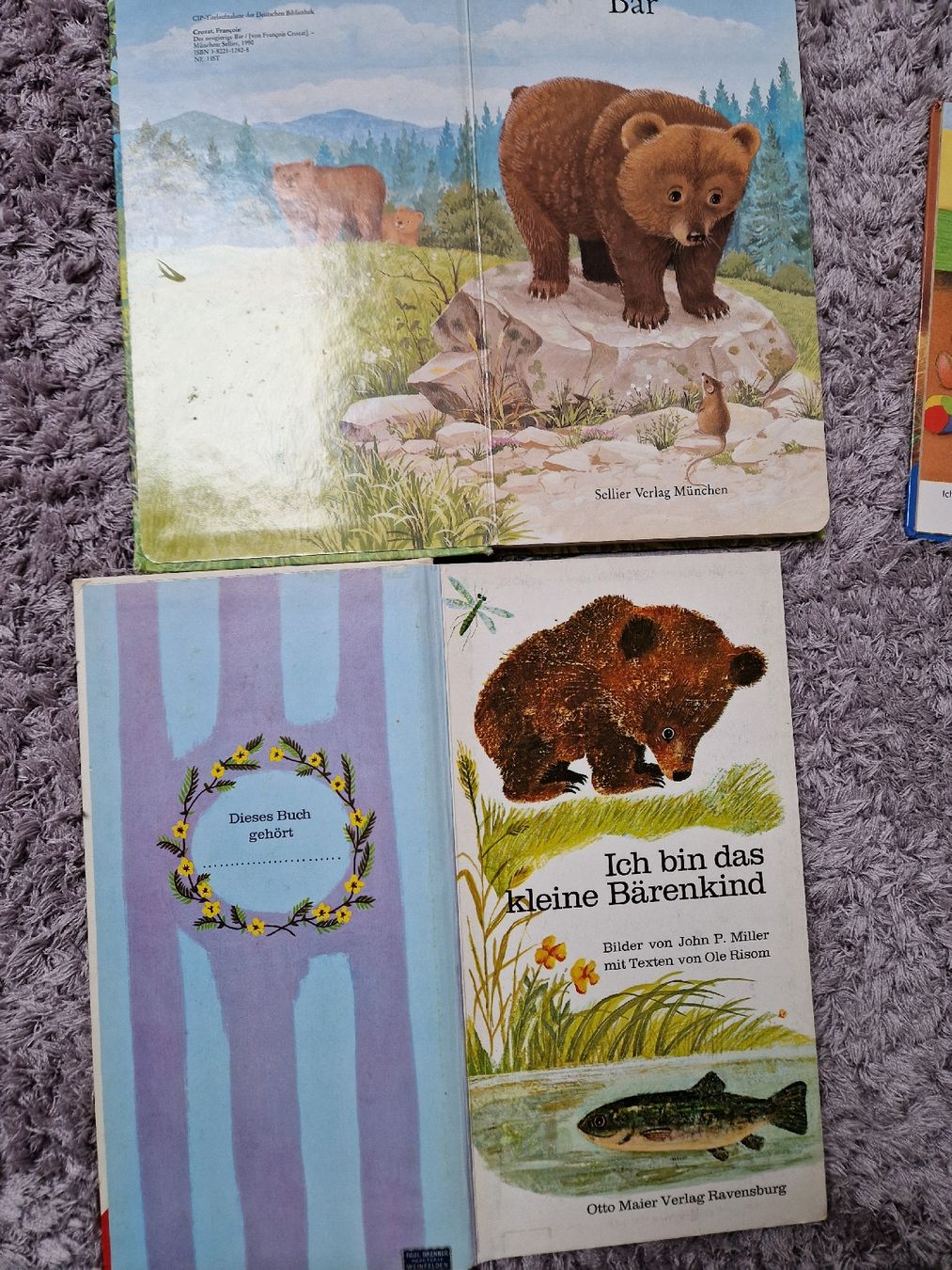 Livres: Ich bin das kleine Bärenkind – D'occasion à Henau par ale_bc8n 4