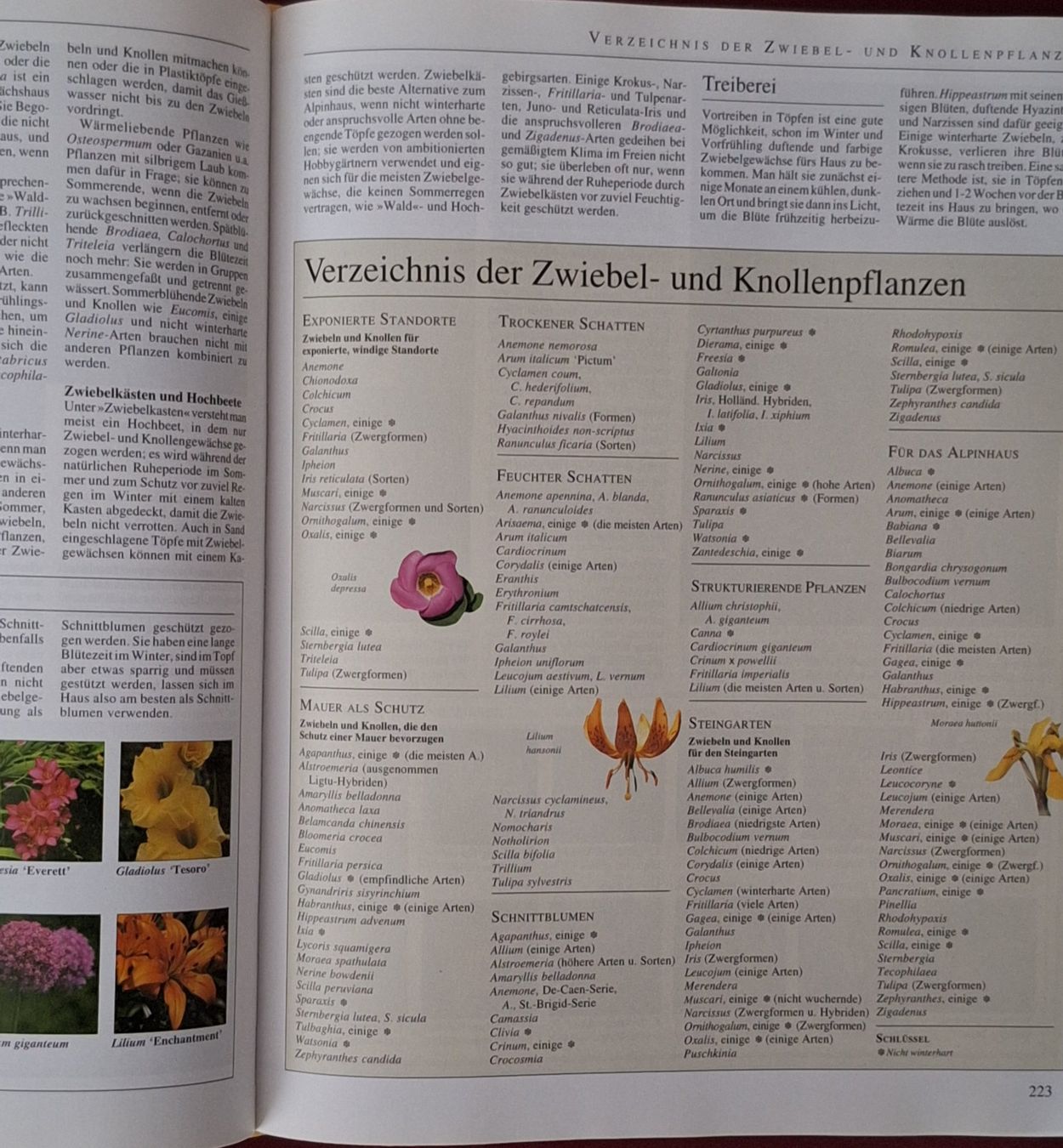 Libri: Buch Garten Enzyklopädie Dumont1994 – Usato da Oberriet SG venduto da Atir47 6