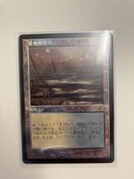 Marsh Flats Foil