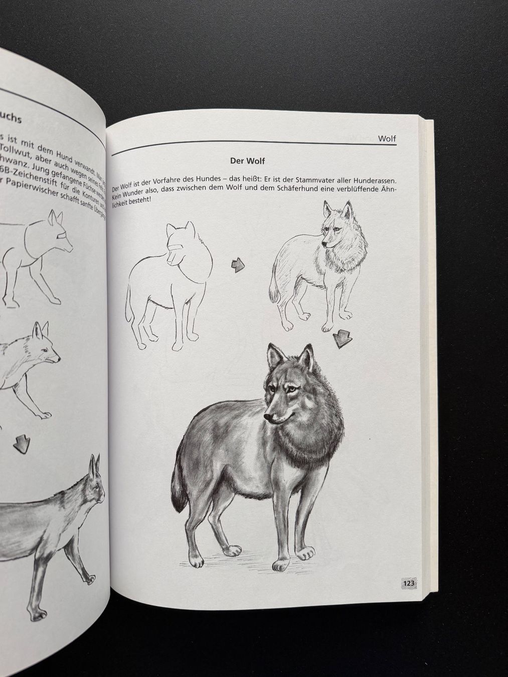 Libri: Die grosse Zeichenschule Tiere – Usato da Kloten venduto da canela9 1