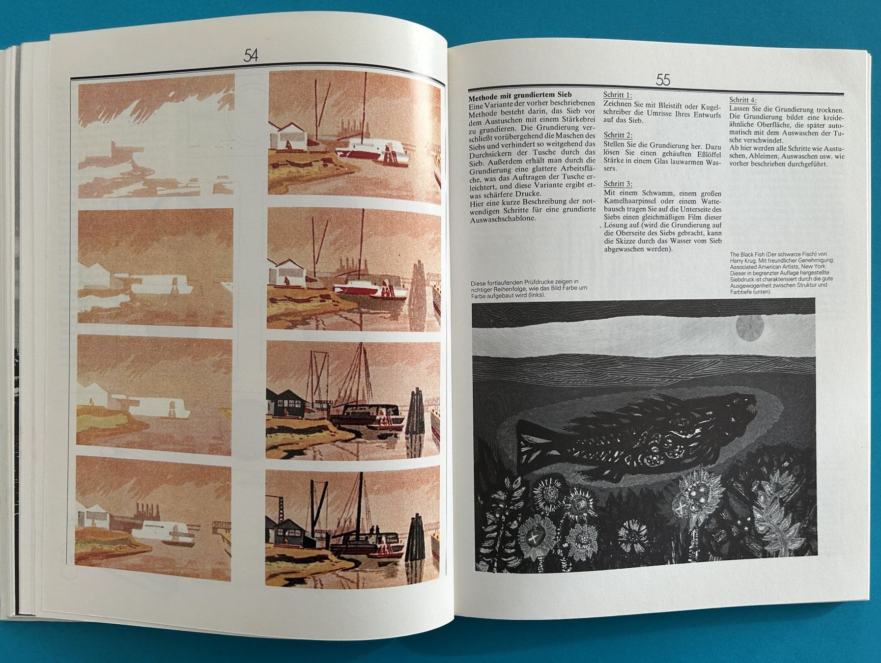 Libri: rar!  SIEBDRUCK – Usato da Zürich venduto da Domus09 7