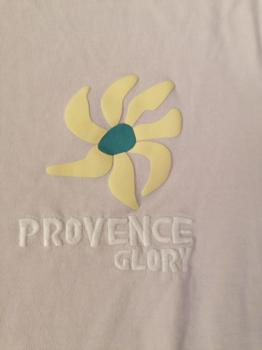 Zara T-shirt: Shirt, Provence Glory, S – Usato da Solothurn venduto da Shanty.20 2