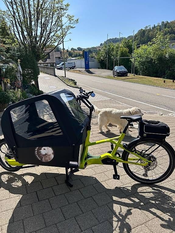 Kettler Biciclette: Kettler Cargobike – Nuovo (secondo la descrizione) da Buus venduto da borer65 2