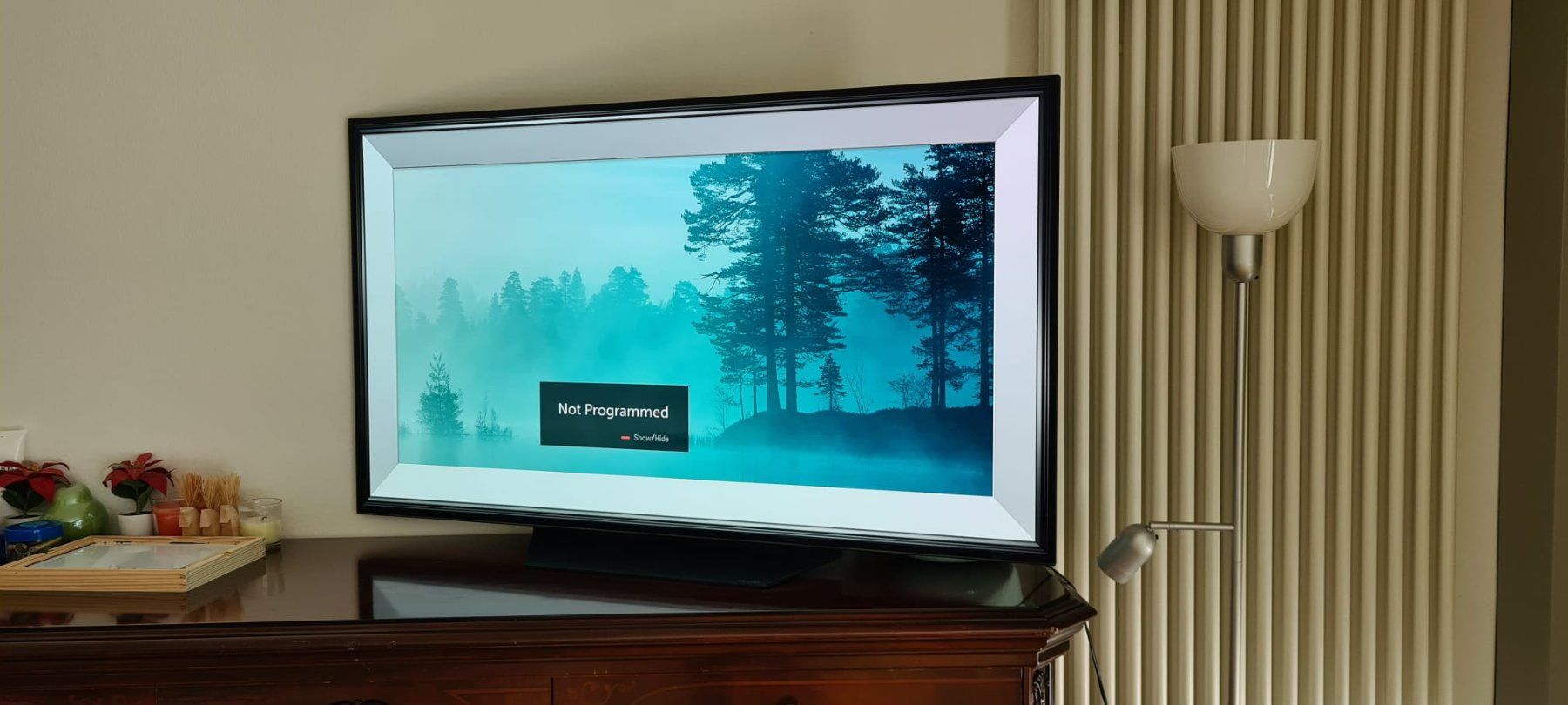 LG Televisori: LG B9 OLED TV 55" – Usato da Aarau venduto da oksana90